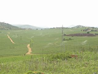 Sugarcane industry – beating the dry season Sugarcane industry – beating the dry season