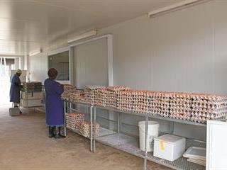 Challenges impeding poultry sector growth Challenges impeding poultry sector growth
