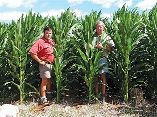 From a hot, dry, barren land to an irrigated farm From a hot, dry, barren land to an irrigated farm