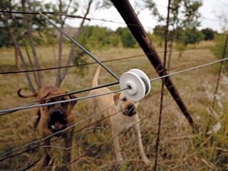 Teamwork:  farmers’ strongest weapon against crime