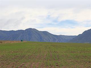 Better soil with summer cover crops Better soil with summer cover crops
