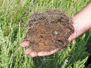 How helping soil life can boost farm profits
