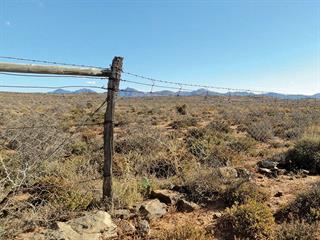 The 238km jackal-proof fence The 238km jackal-proof fence
