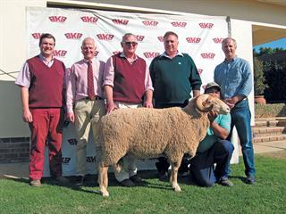 Annual Komarsekraal Merino Sale