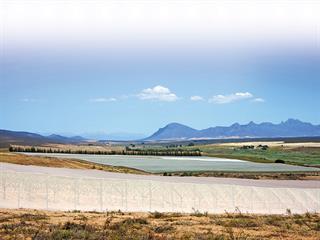 The value of nets in citrus and table grape production The value of nets in citrus and table grape production