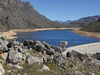 Reduce losses with this drought strategy Reduce losses with this drought strategy