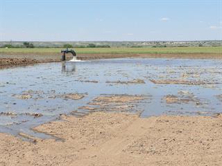 Getting flood irrigation right