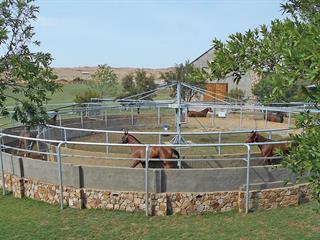 Exercise your horse conveniently Exercise your horse conveniently
