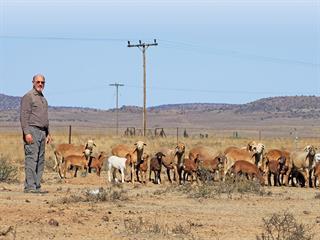 Allow nature to select your best performing animals – Clayton Collette