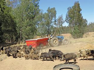 An integrated eco-farming business