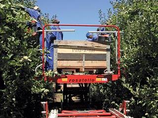 Increased efficiency with picking platforms Increased efficiency with picking platforms