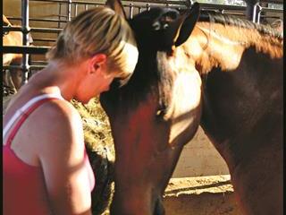 Rabies can be a danger to your horse Rabies can be a danger to your horse
