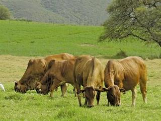 Turning veld assessment upside down