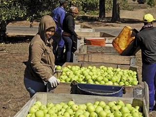 Technology takes farming to new levels Technology takes farming to new levels