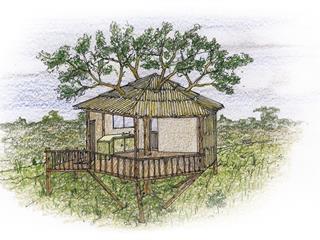 A tree house design