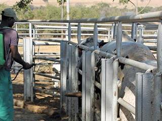 Determining and battling acaricide resistance Determining and battling acaricide resistance