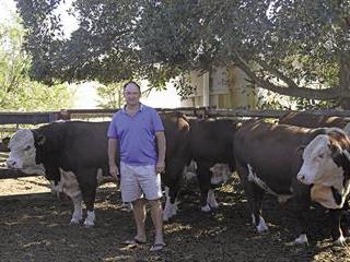 Locheim Herefords: bred for balance