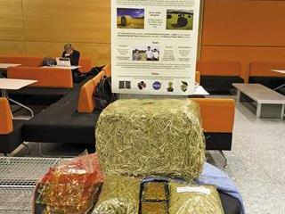 Edible, biodegradable bale wrap a world-first