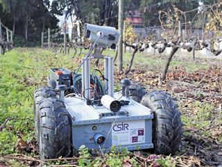 South Africa builds its own vineyard robot