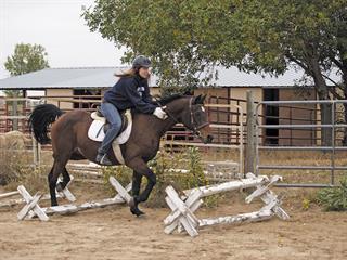 The value of trotting poles