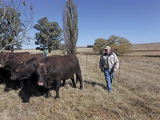 ‘EBVs are not negotiable’ – top Sussex breeder