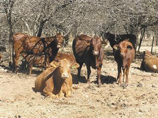 Universal veld management system