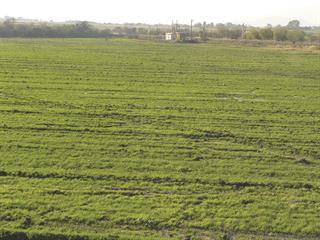 Extension officer turned emerging farmer Extension officer turned emerging farmer