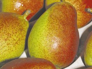 SA pear producers get cheeky