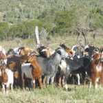 fwa20168414443.jpg