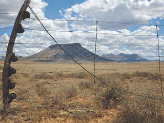 The story of SA’s first stock fence The story of SA’s first stock fence