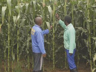 Measuring soil Nitrogen status