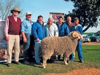 Annual Goedeverwagting Merino Stud Sale Annual Goedeverwagting Merino Stud Sale