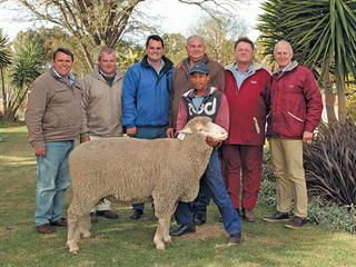 Weska Dohne Merino Annual Sale