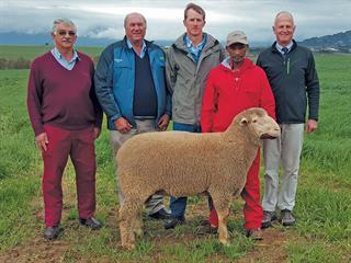 National SA Mutton Merino Sale