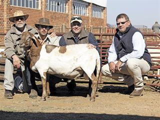 Meatmaster Breeders Sale Meatmaster Breeders Sale