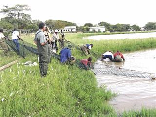 How effective are recirculating aquaculture systems for SA?