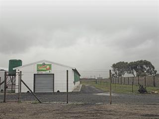 Biosecurity – upgrading your caged layer system Biosecurity – upgrading your caged layer system