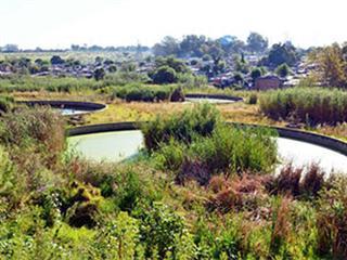 Searching for the source of the Jukskei’s pollution