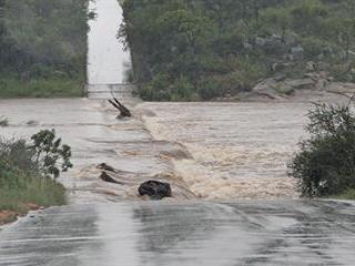 Western Cape farmers count their losses after flooding