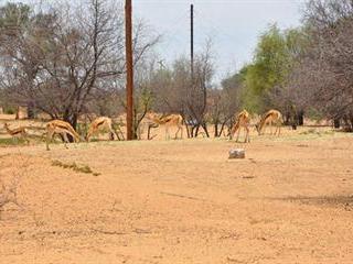 Support for drought-stricken North West farmers