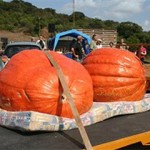 fwn20134515569.jpg