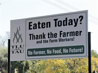 Promoting the role farmers play in feeding SA Promoting the role farmers play in feeding SA