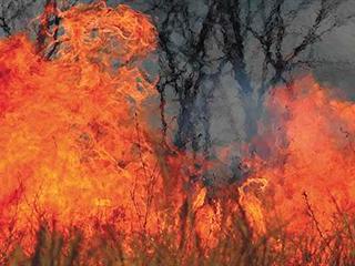 14km wide veld fire raging outside from Fouriesburg 14km wide veld fire raging outside from Fouriesburg