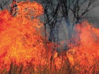 14km wide veld fire raging outside from Fouriesburg