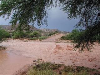 Western Cape rains cause massive financial losses