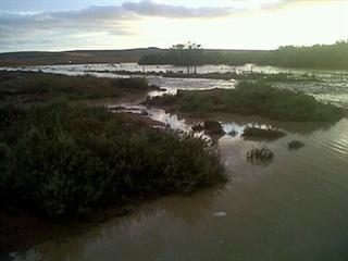 Northern Cape rains not benefitting dry areas