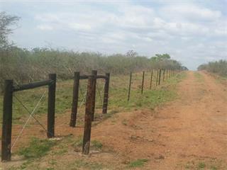 KZN’s FMD control fence well under way – DAFF KZN’s FMD control fence well under way – DAFF