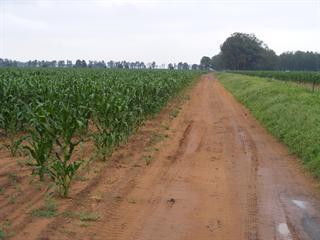 Free State rain a gift from above Free State rain a gift from above