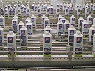 Clover shows good financial results Clover shows good financial results