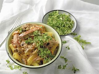 Not Just Another Stroganoff Not Just Another Stroganoff